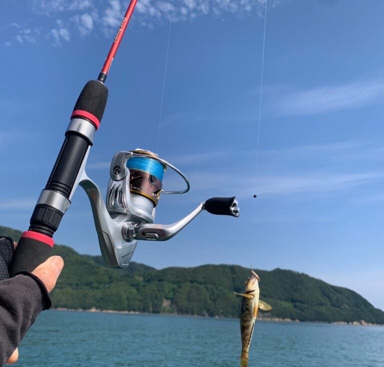 Fishing experience from the breakwater in Innoshima island