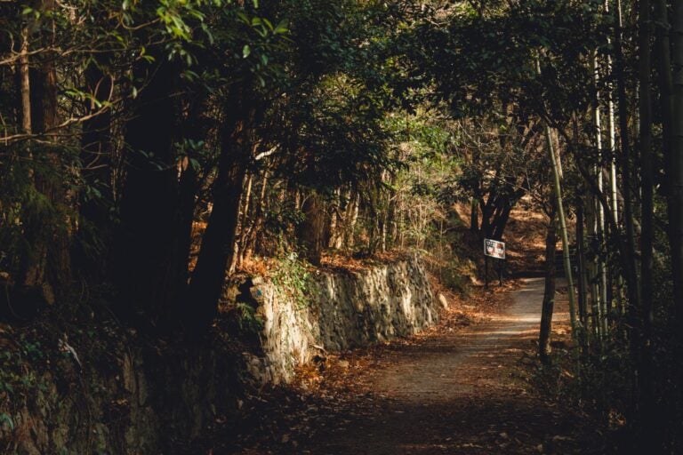 Islands of the Seto Inland Sea trekking tour